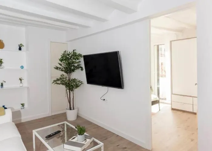 Appartement Ramblas Bcn